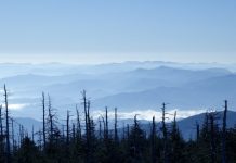 Best Cities to Visit This Winter