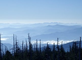 Best Cities to Visit This Winter