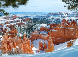 Best National Parks to Visit in the Winter