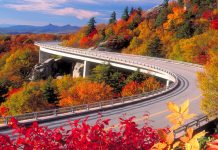 5 Reasons to Drive The Blue Ridge Parkway